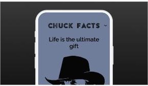 Chuck Facts app